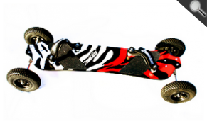 Zebra Board  Basic